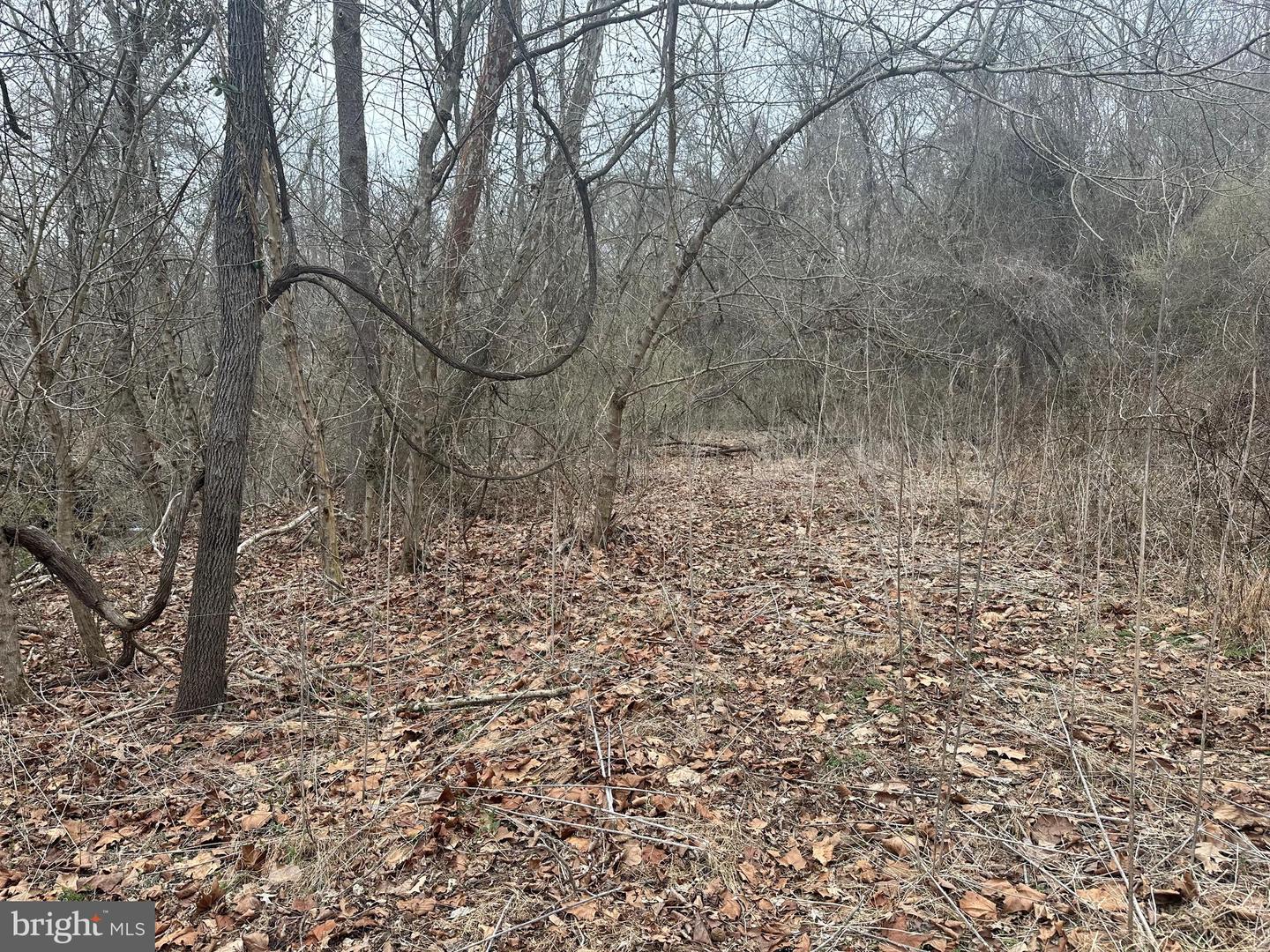 Lime Kiln Rd Property Photo 45