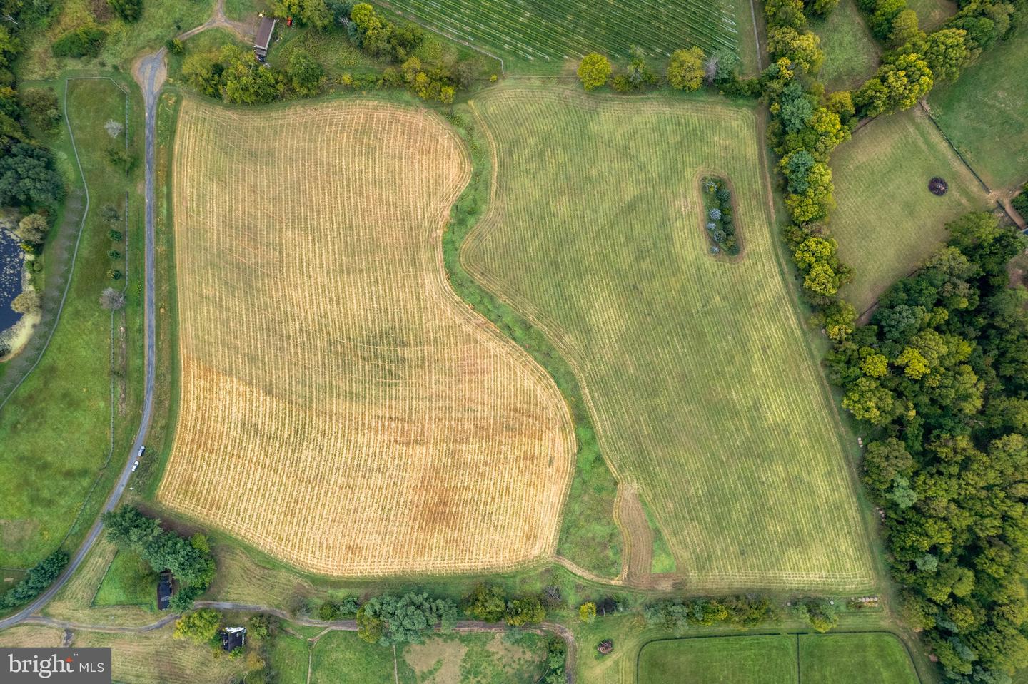 20.17 Acres Hedgeland Lane Property Photo 1