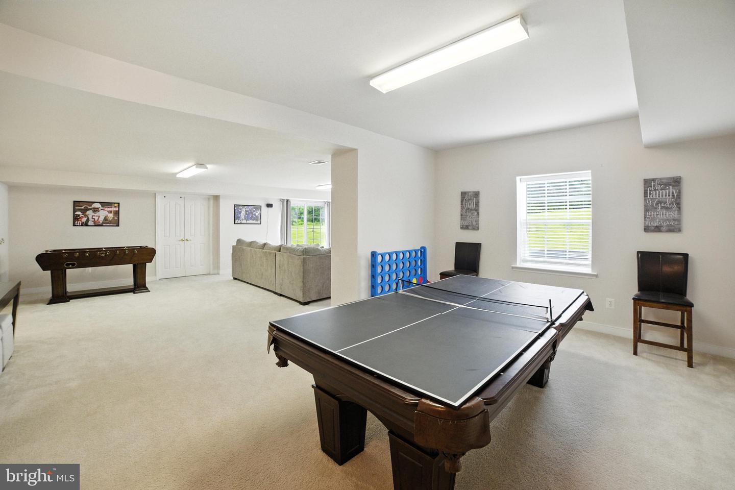 42037 Heaters Island Ct Property Photo 28