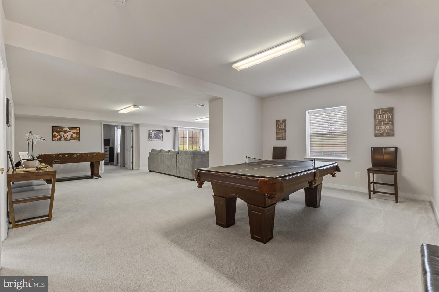 42037 Heaters Island Ct Property Photo 59