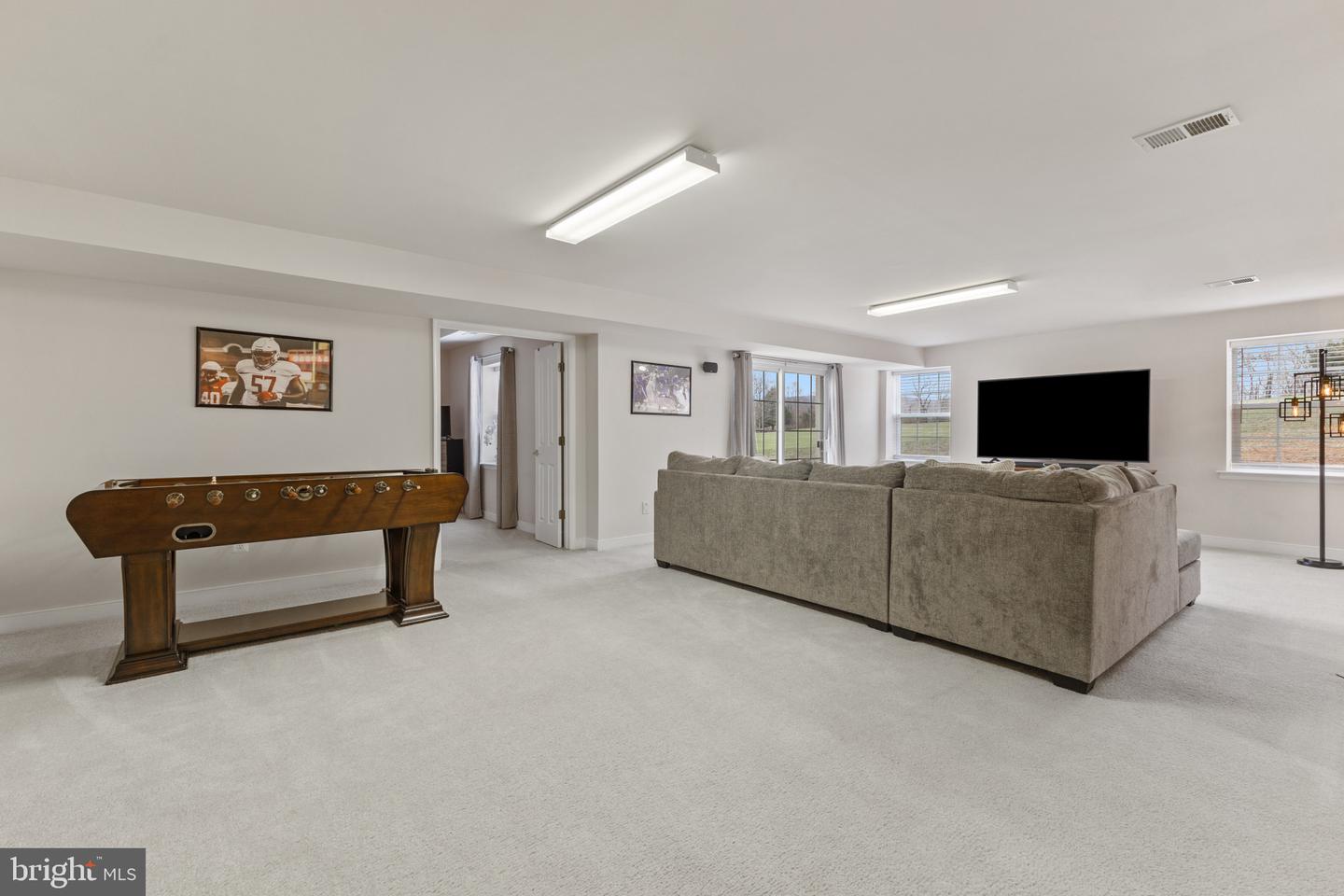 42037 Heaters Island Ct Property Photo 60