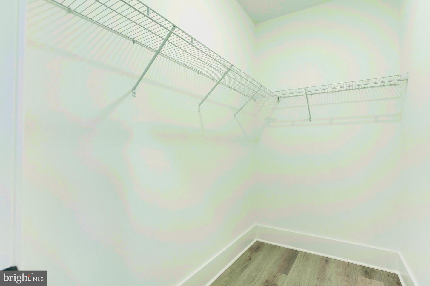 23786 Indigo Bunting Ct Property Photo 64