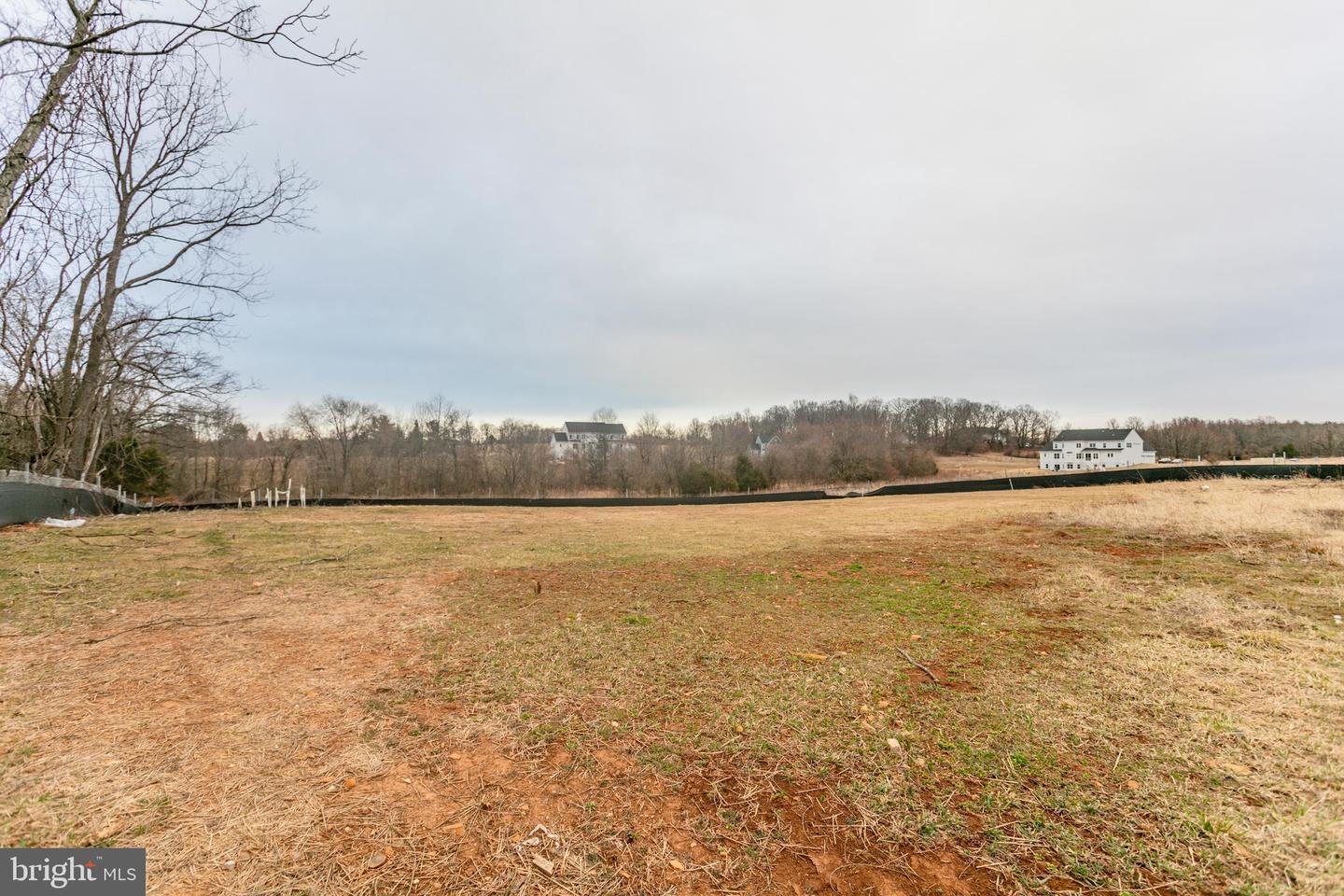 23786 Indigo Bunting Ct Property Photo 83