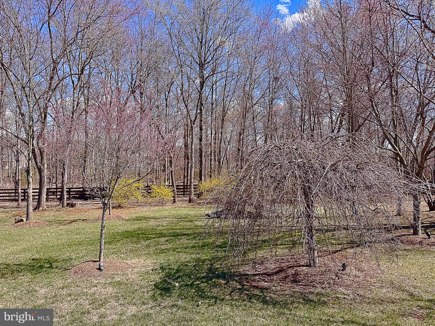 20880 Eckbo Dr Property Photo 96