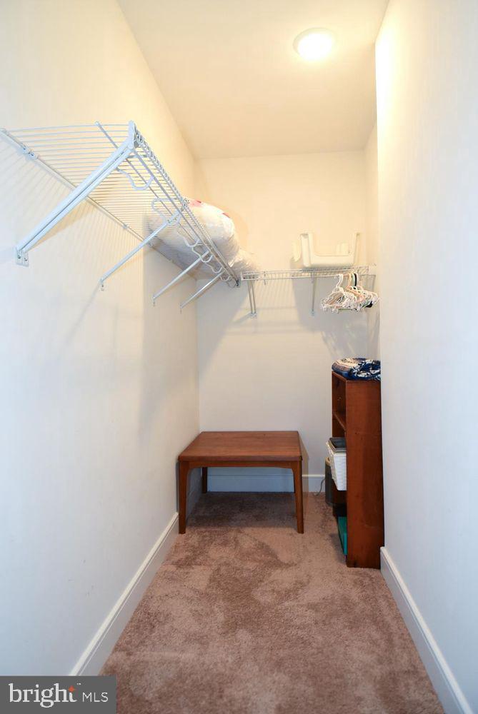 23610 Havelock Walk Ter Property Photo 28