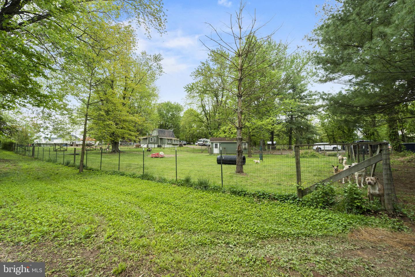 41170 Little River Tpke Property Photo 25