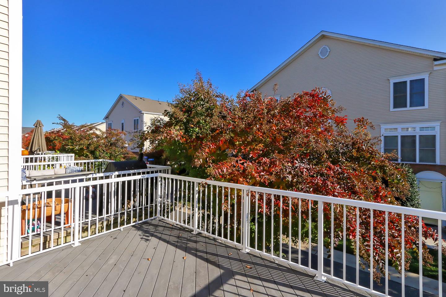 42634 Pine Forest Dr Property Photo 26