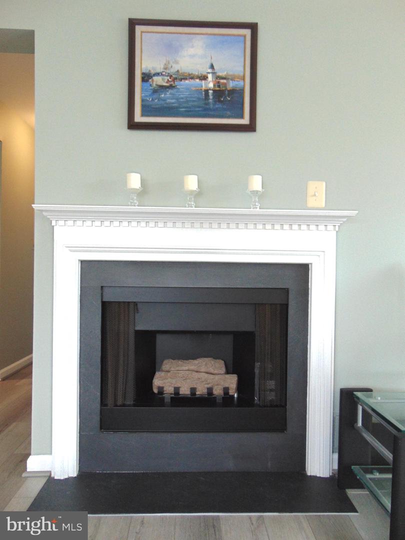 45061 Brae Ter #204 Property Photo 15