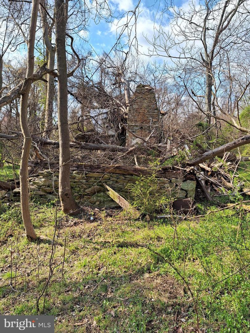 18590 Appx Foggy Bottom Rd. Property Photo 19