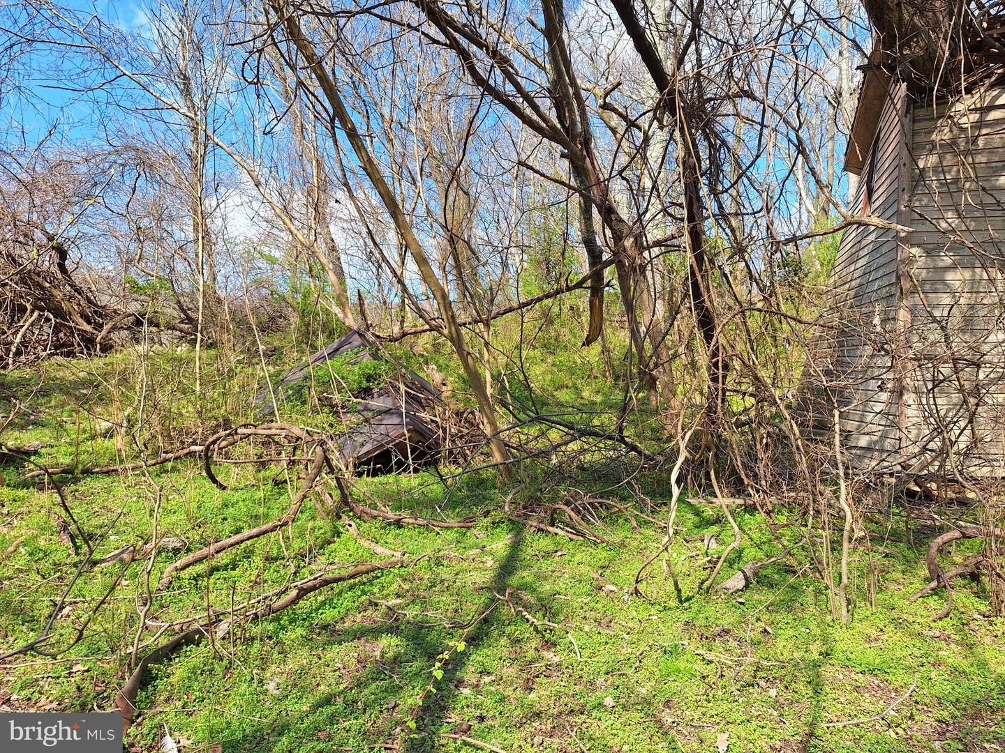 18590 Appx Foggy Bottom Rd. Property Photo 24