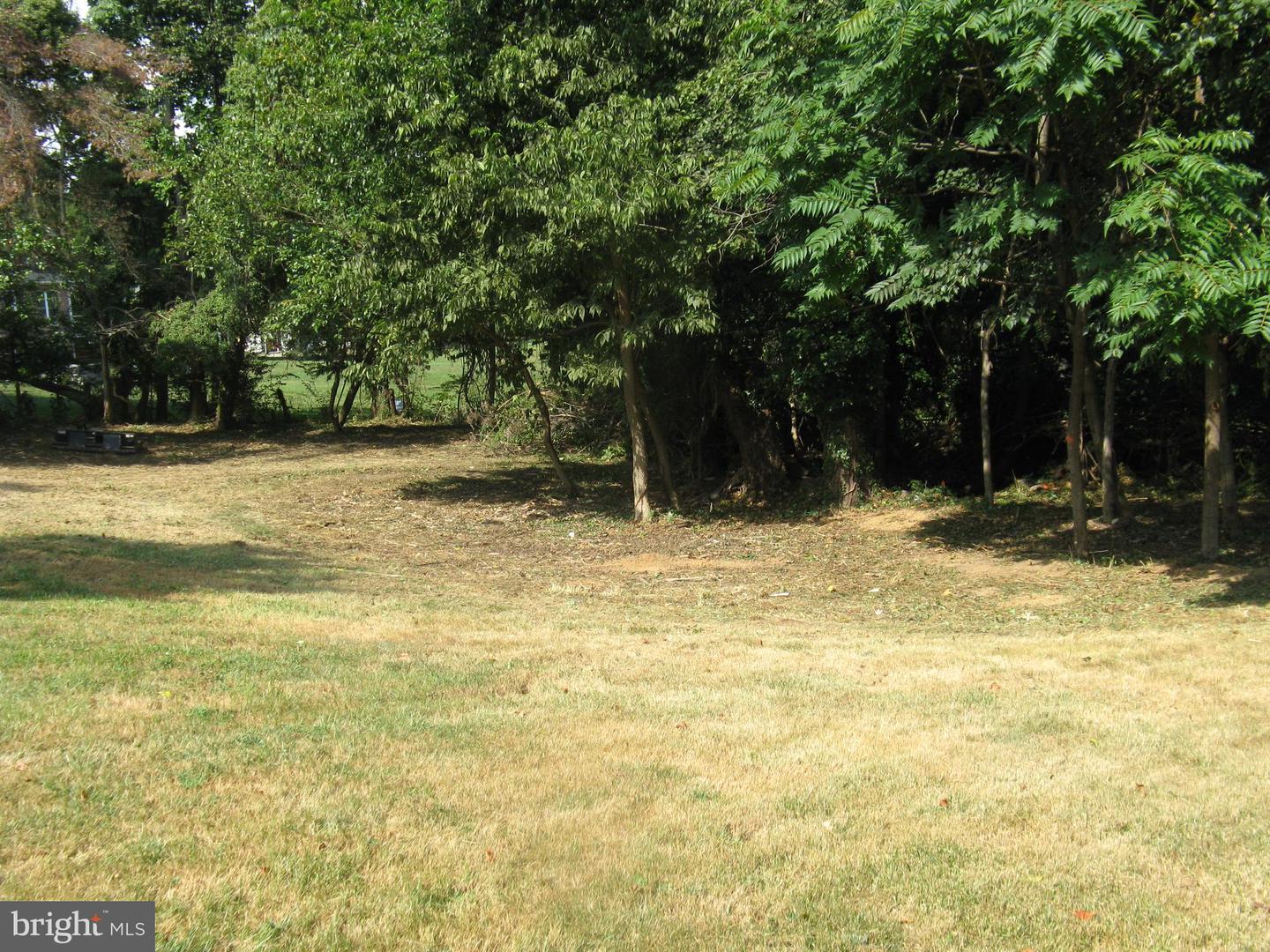Lot 1 C Harmon Lodge Ln Property Photo 3