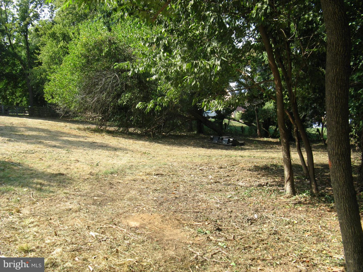 Lot 1 C Harmon Lodge Ln Property Photo 6