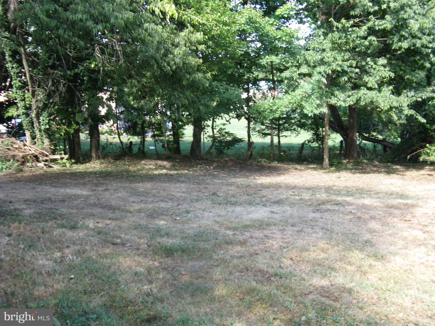 Lot 1 C Harmon Lodge Ln Property Photo 9