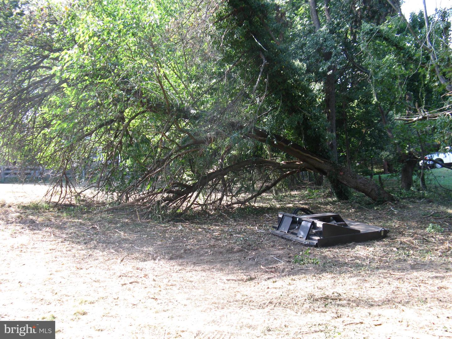 Lot 1 C Harmon Lodge Ln Property Photo 13