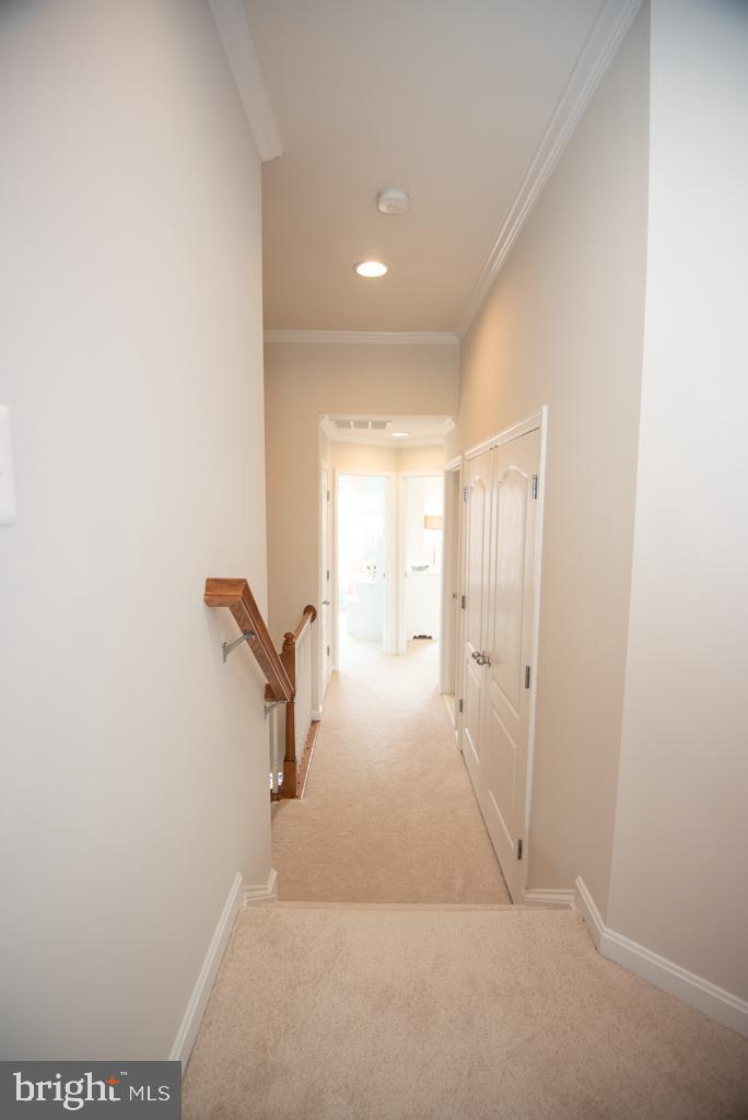 25125 Andes Ter Property Photo 19