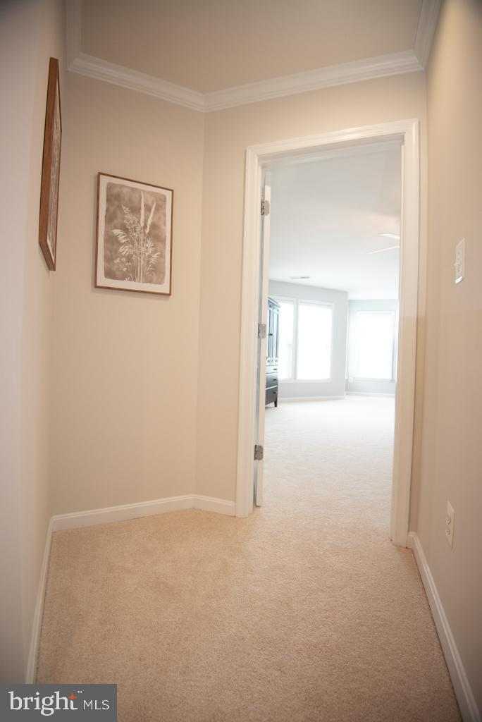 25125 Andes Ter Property Photo 20