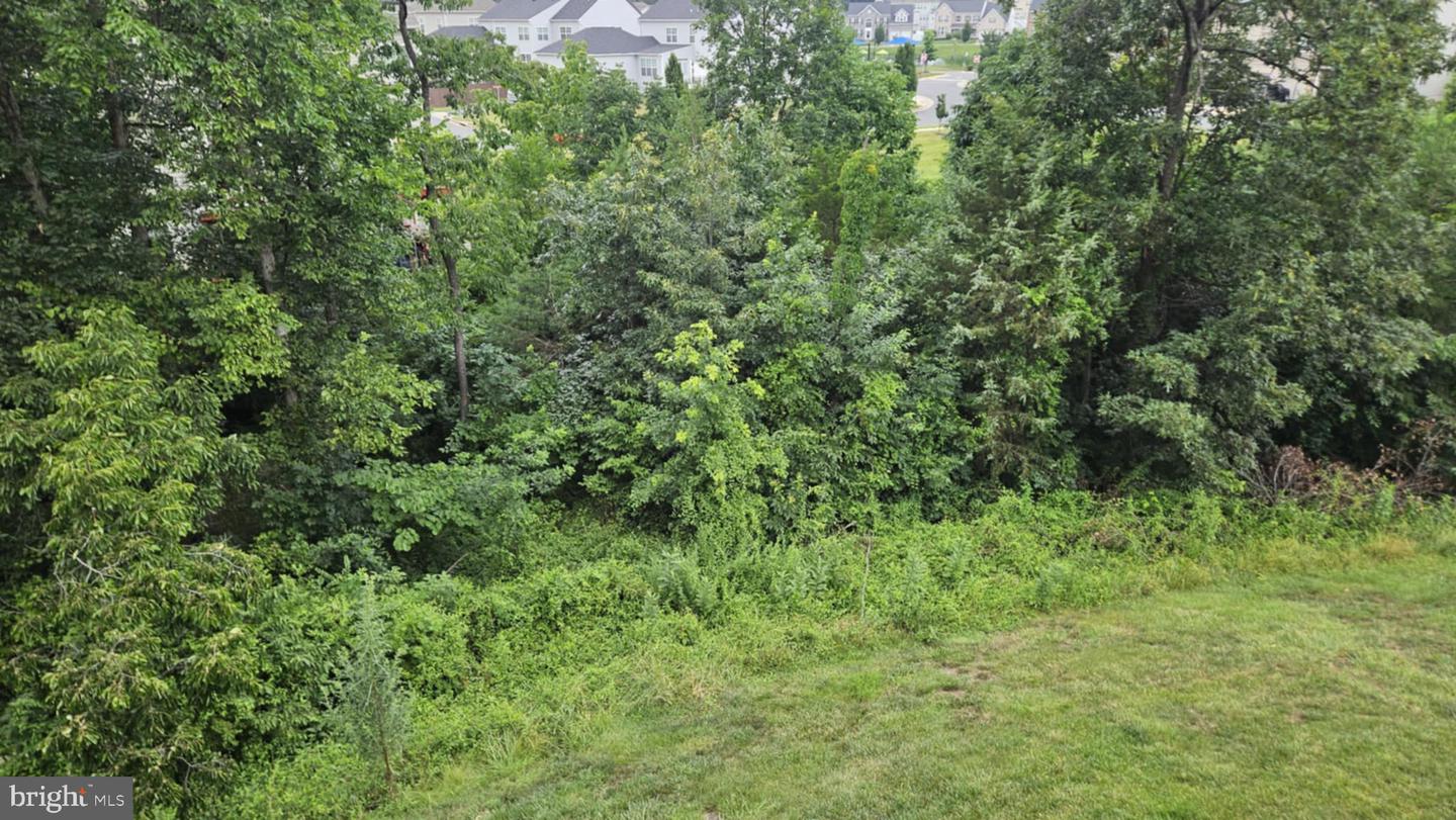 1740 Moultrie Ter Ne Property Photo 65