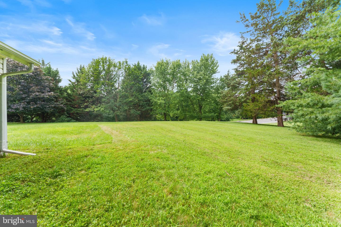 108 Cherry Tree Ct Property Photo 36