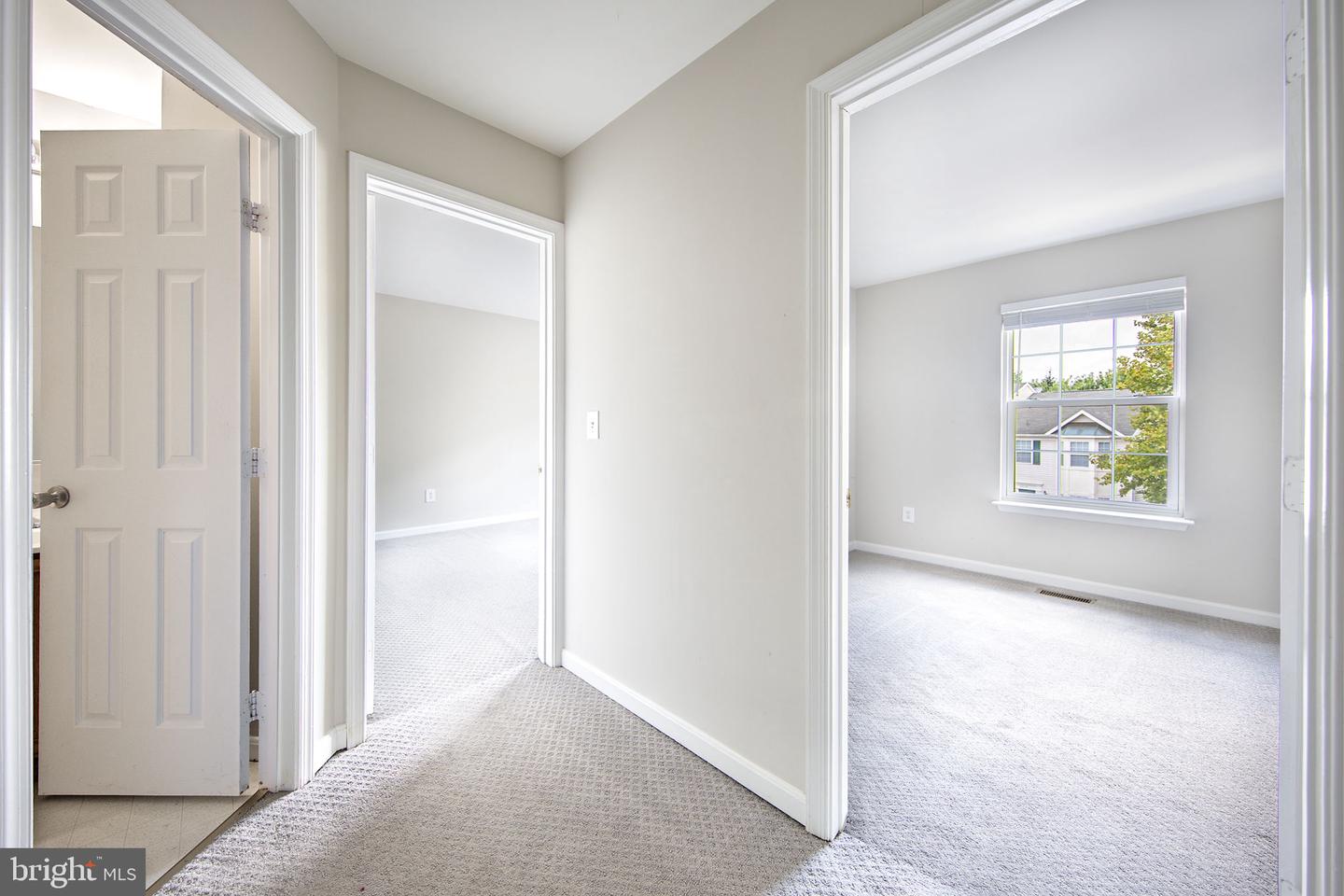 43115 Candlewick Sq Property Photo 14