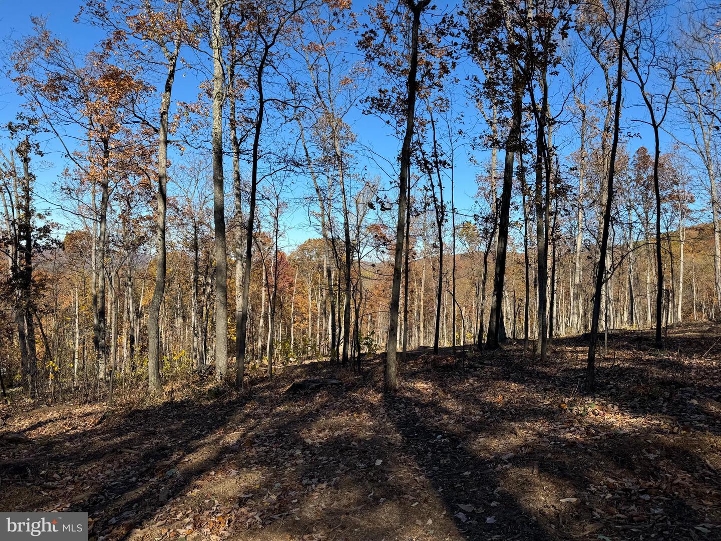 0 Digging Bear Ln Property Photo 3