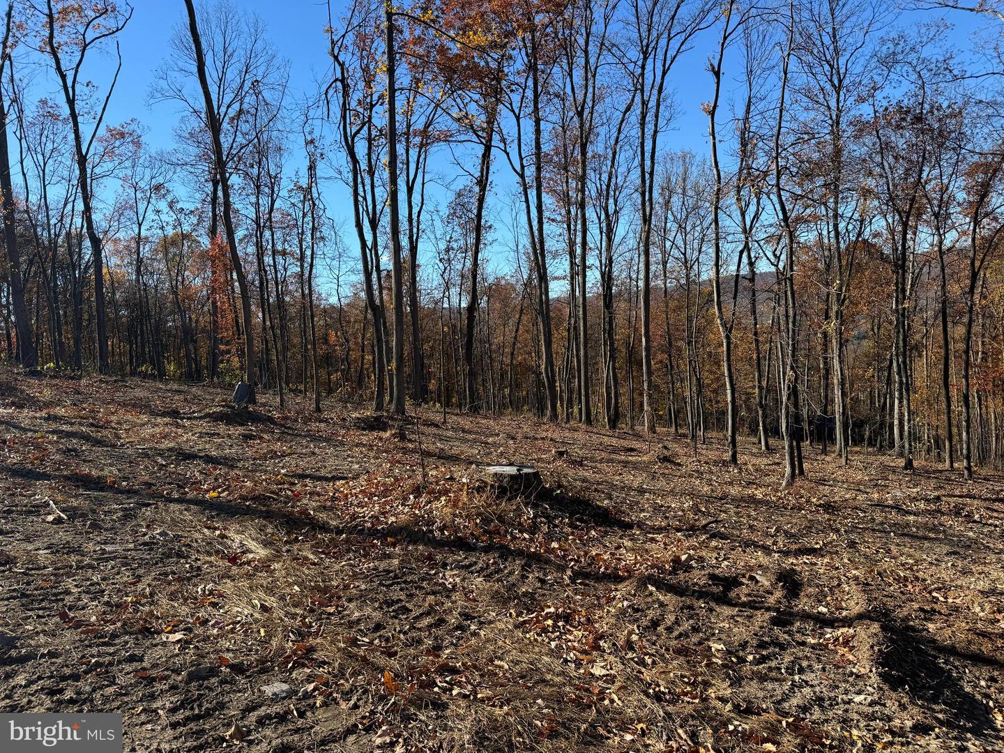0 Digging Bear Ln Property Photo 5