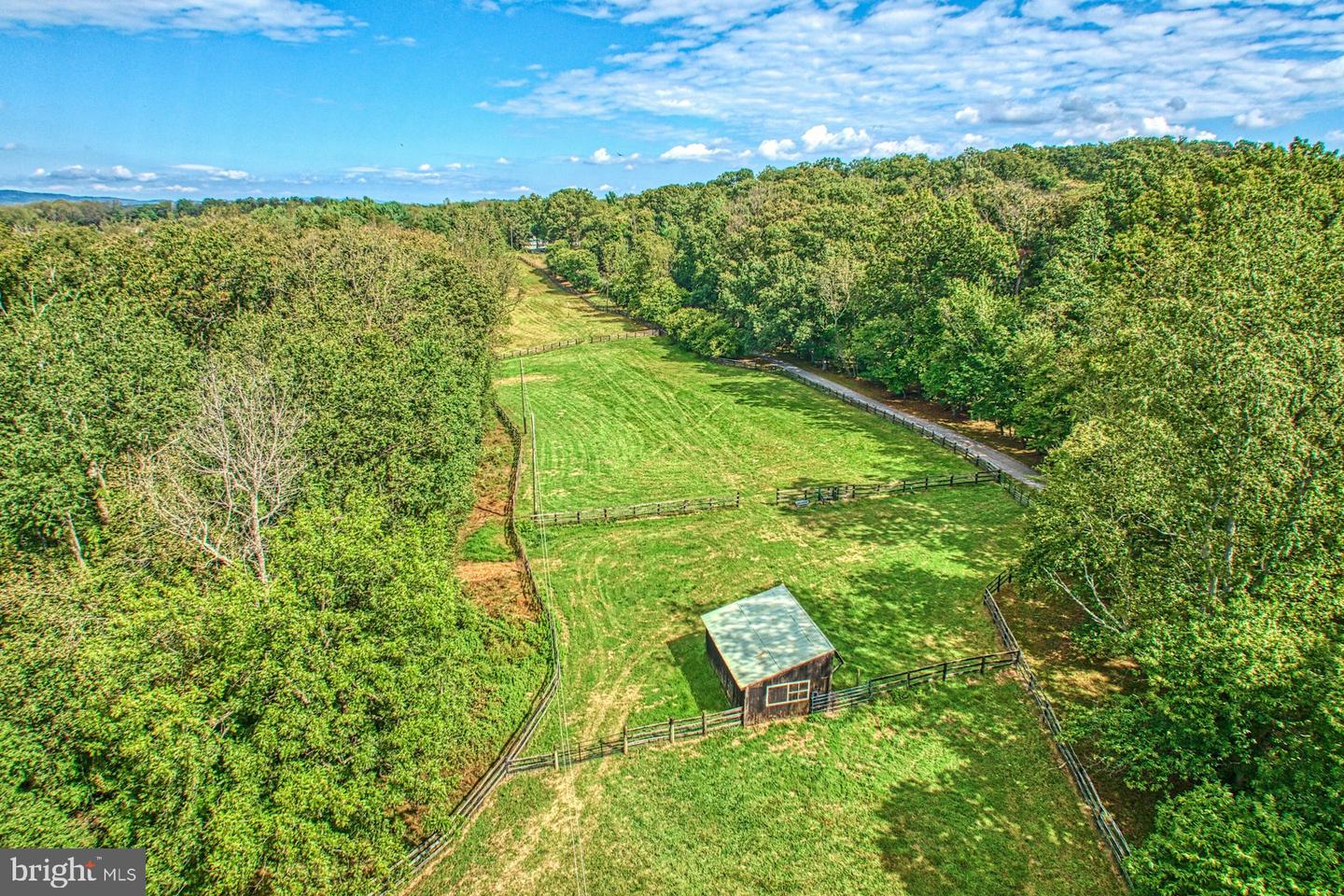 43470 Evans Pond Rd Property Photo 5