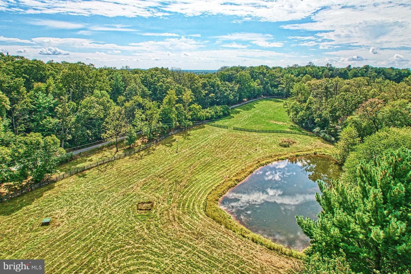43470 Evans Pond Rd Property Photo 6