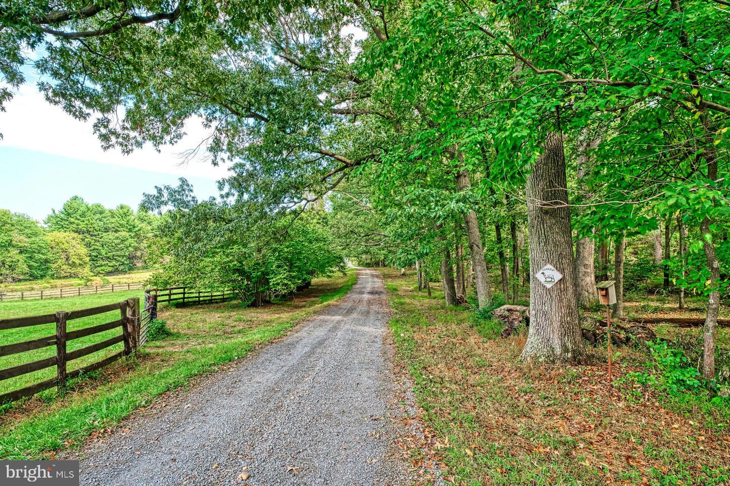 43470 Evans Pond Rd Property Photo 75