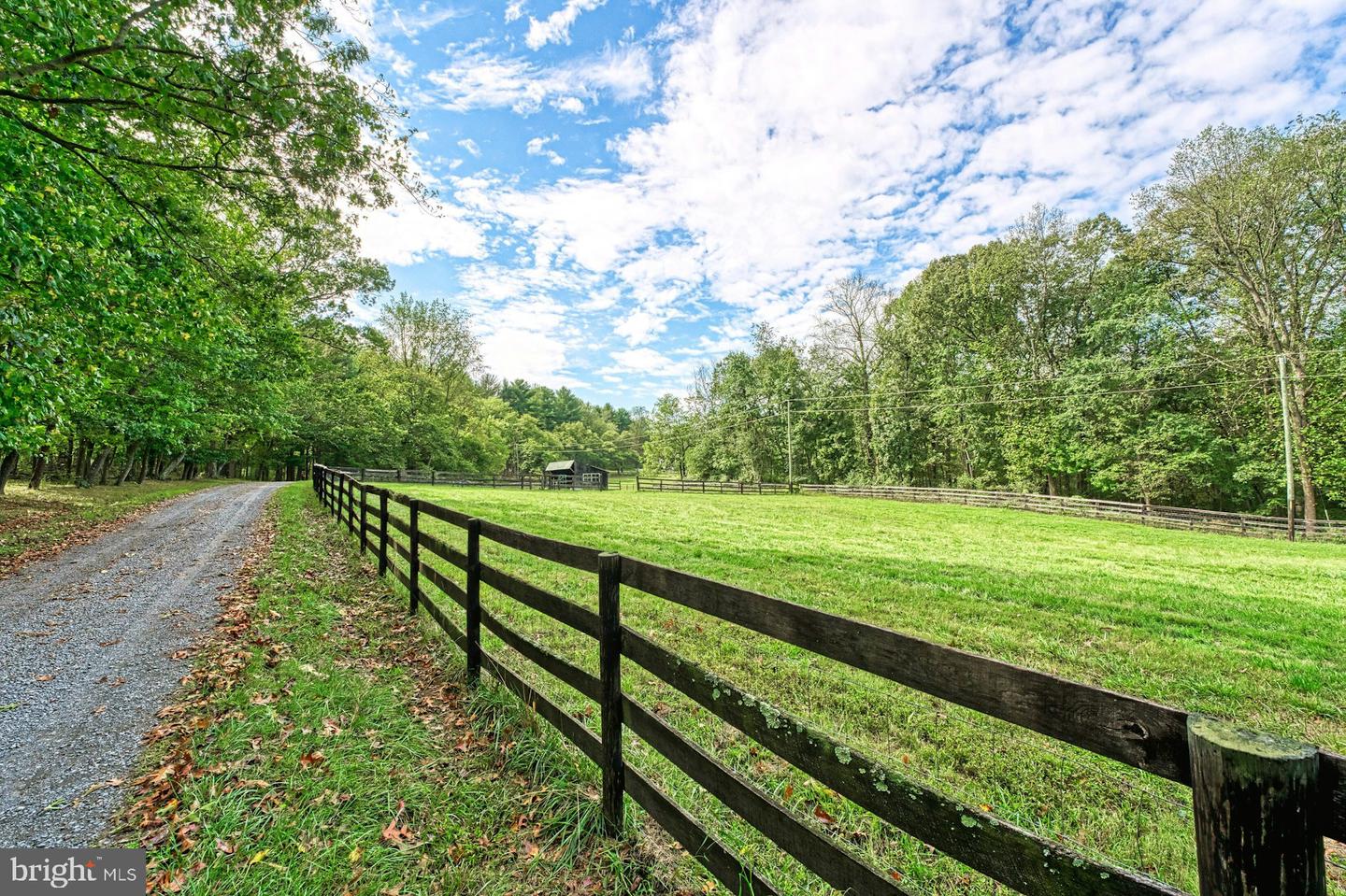 43470 Evans Pond Rd Property Photo 76