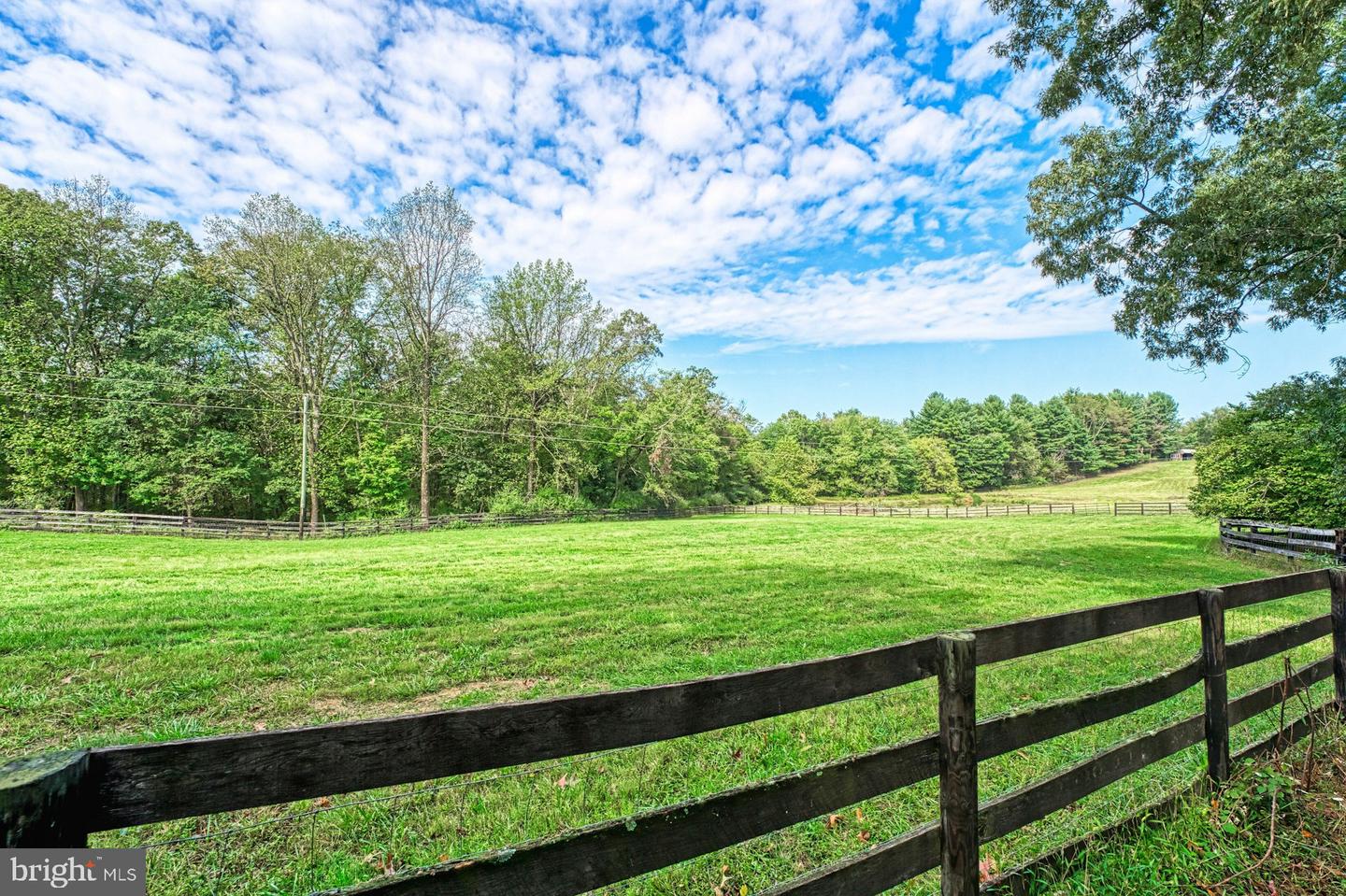 43470 Evans Pond Rd Property Photo 77