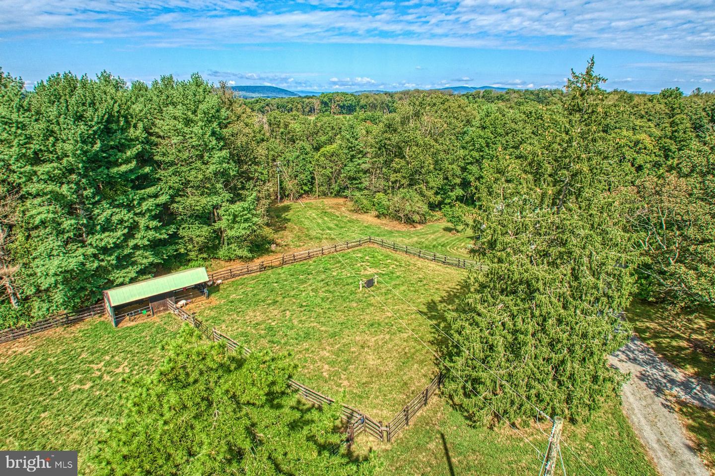 43470 Evans Pond Rd Property Photo 82