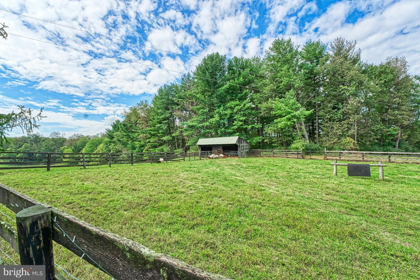 43470 Evans Pond Rd Property Photo 83