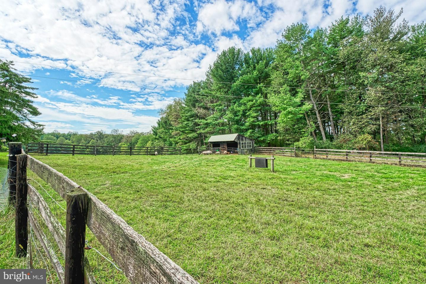 43470 Evans Pond Rd Property Photo 84