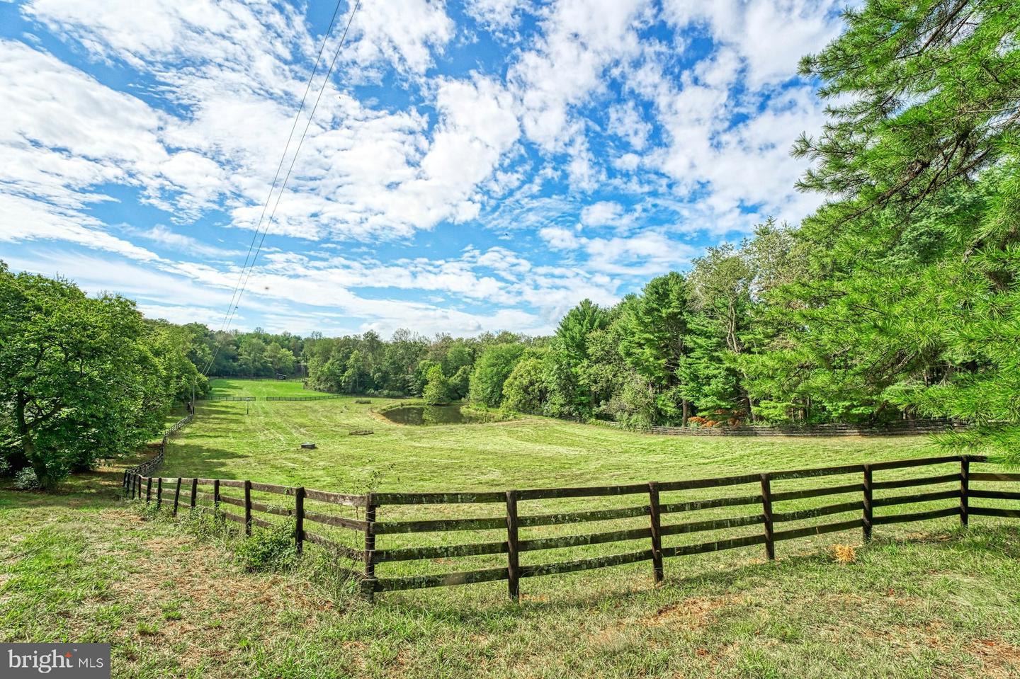 43470 Evans Pond Rd Property Photo 85