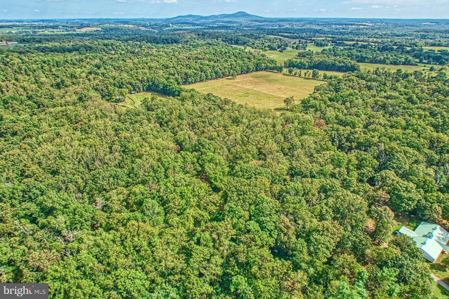 43470 Evans Pond Rd Property Photo 97