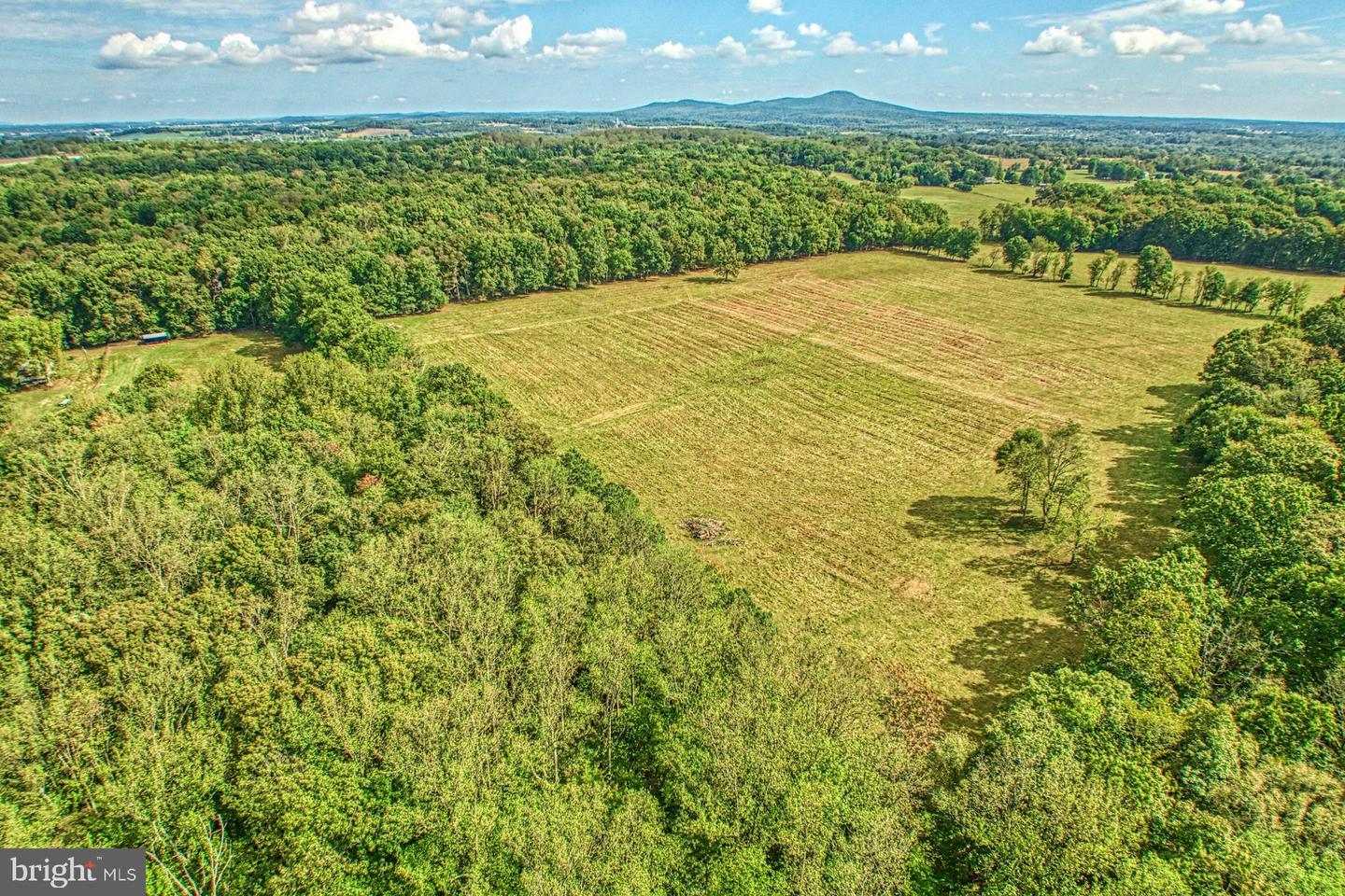 43470 Evans Pond Rd Property Photo 98
