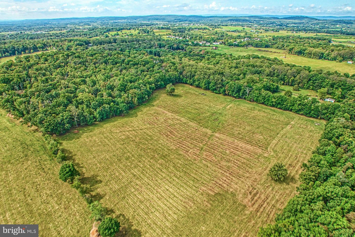 43470 Evans Pond Rd Property Photo 101