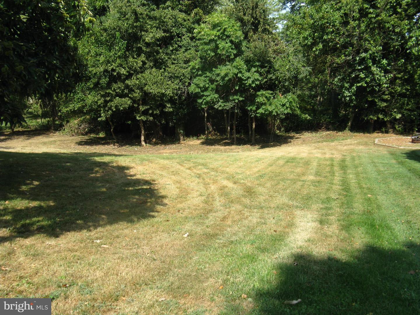 Lot 1c Harmon Lodge Property Photo 1