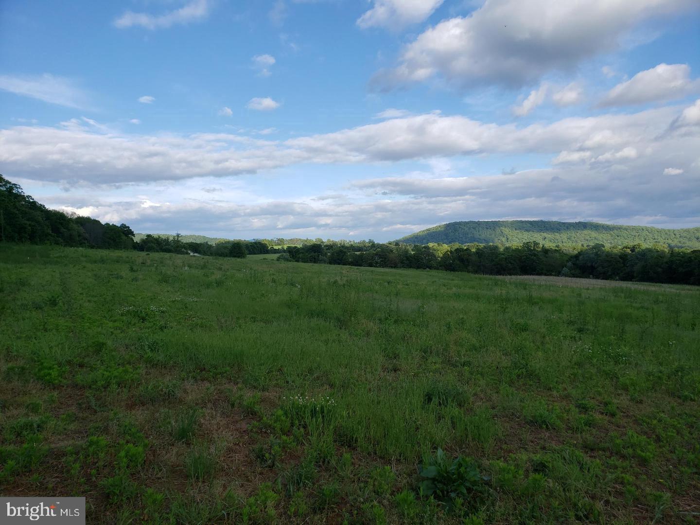 40975 Yakey Ln Property Photo 3