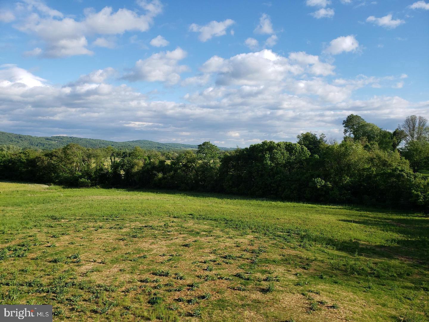 40975 Yakey Ln Property Photo 16