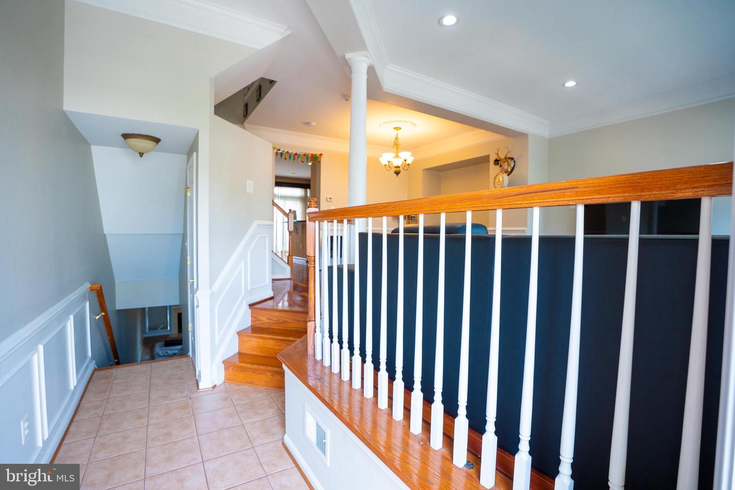 25121 Cutgrass Ter Property Photo 8