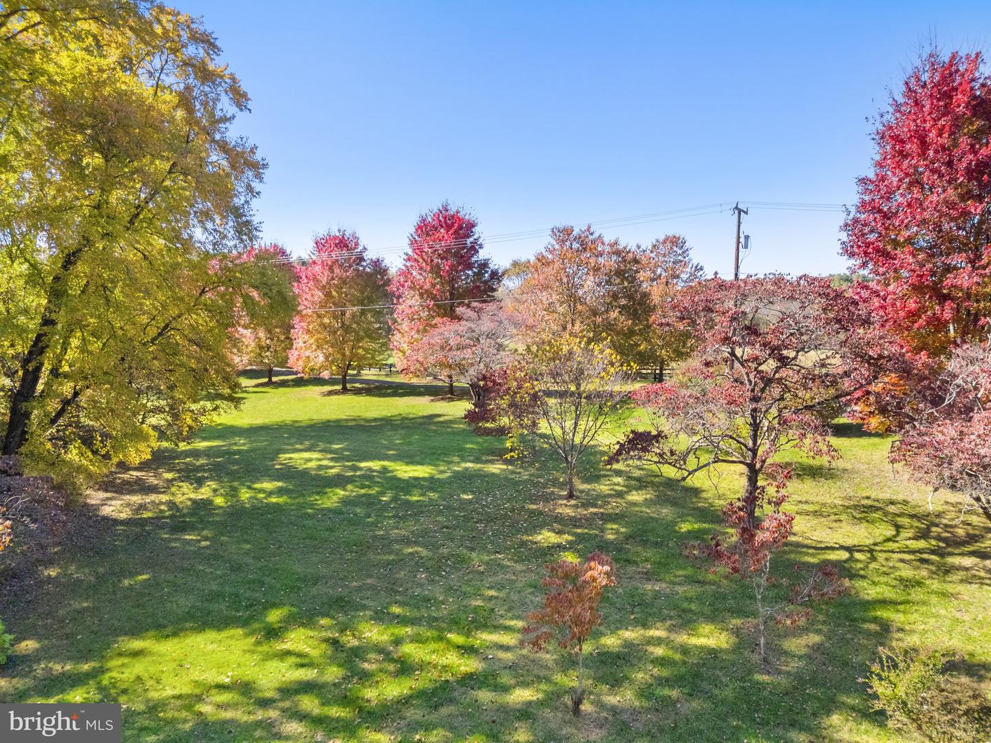 20962 Beaverdam Bridge Rd Property Photo 8