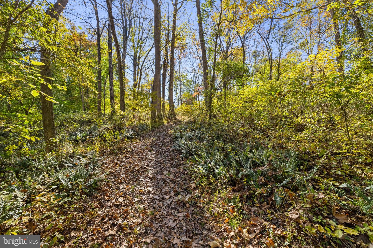 20962 Beaverdam Bridge Rd Property Photo 10