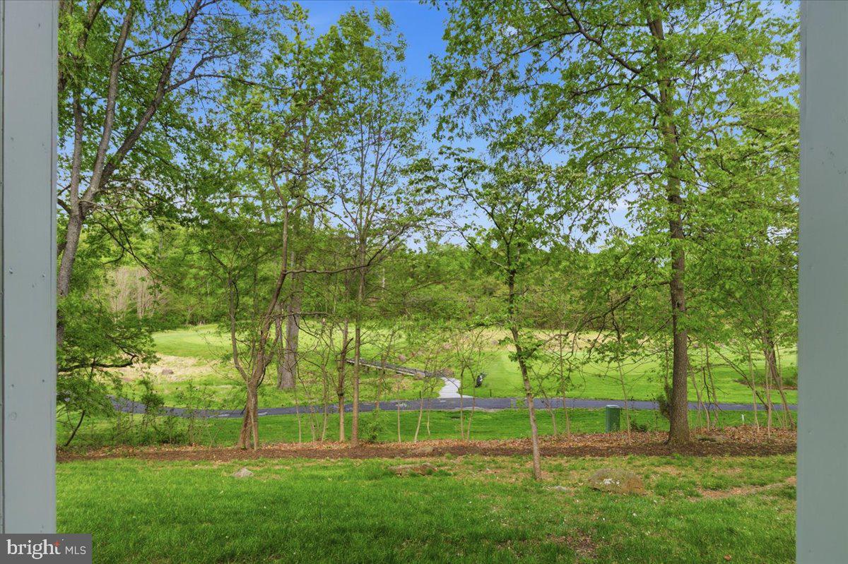 19586 Saratoga Springs Pl Property Photo 2