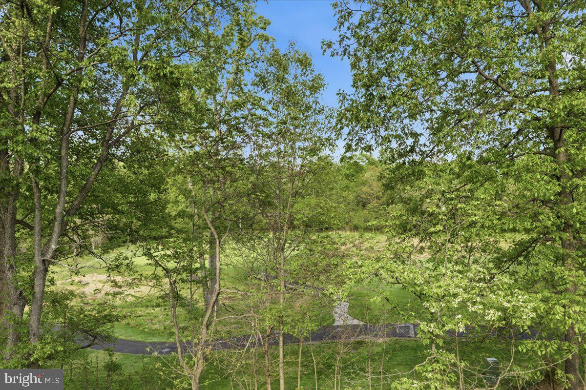 19586 Saratoga Springs Pl Property Photo 76