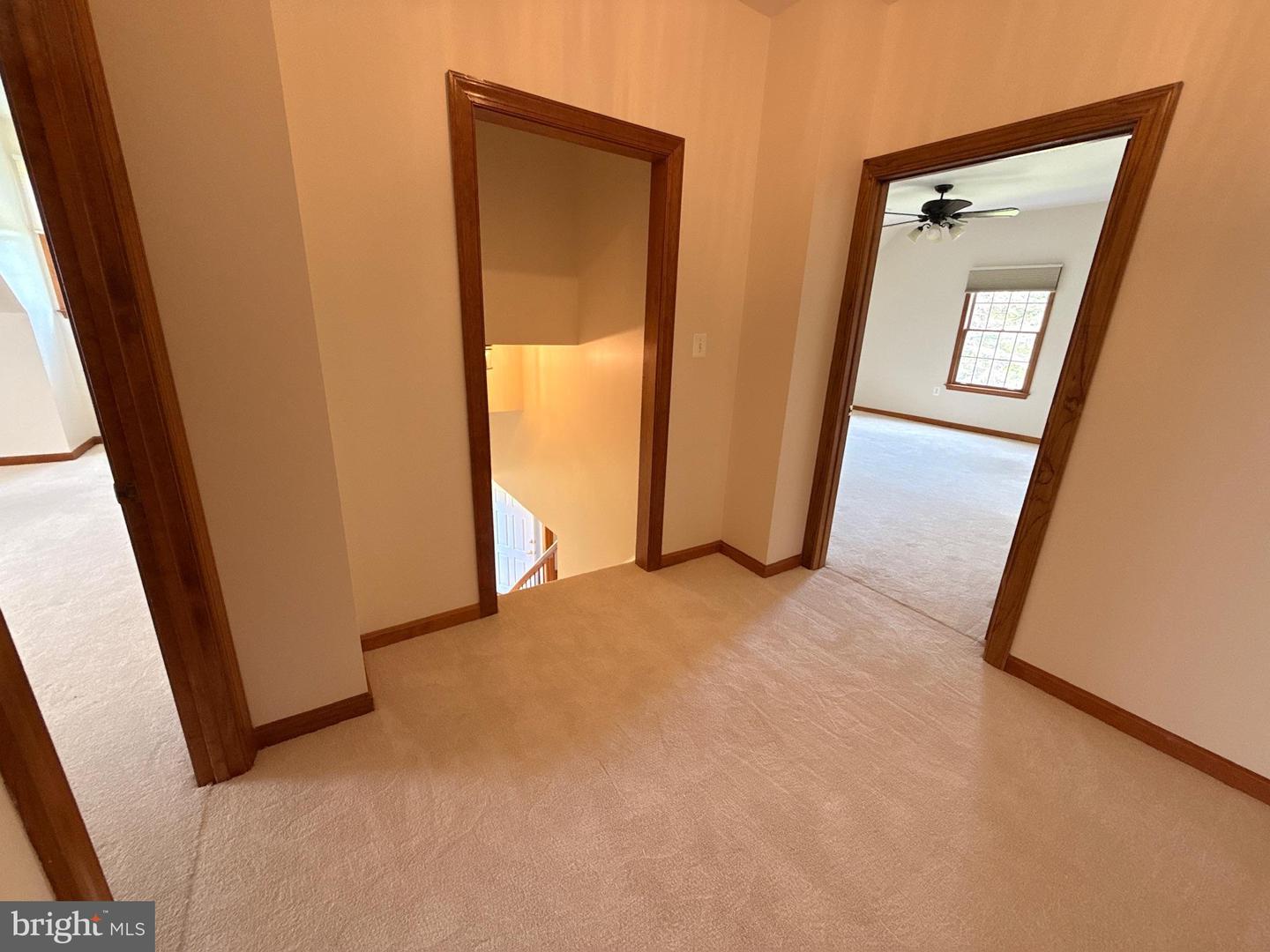13886 Berlin Tpke #a Property Photo 29