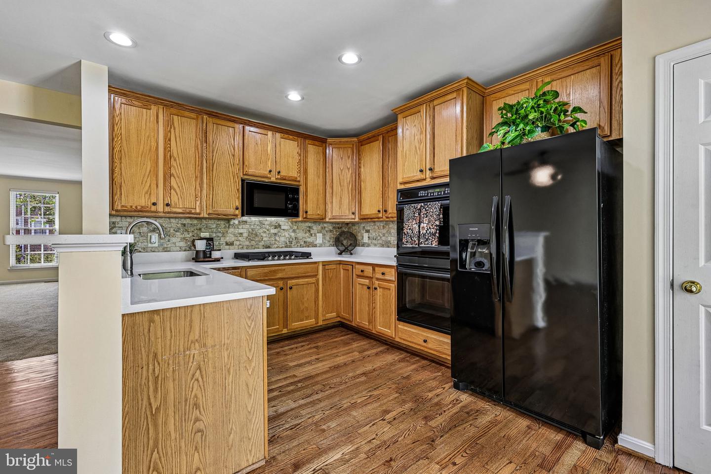26071 Nimbleton Sq Property Photo 21