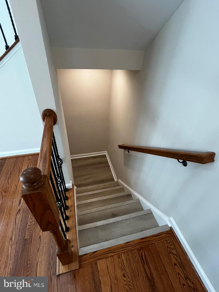 42007 Powells Farm Way Property Photo 60
