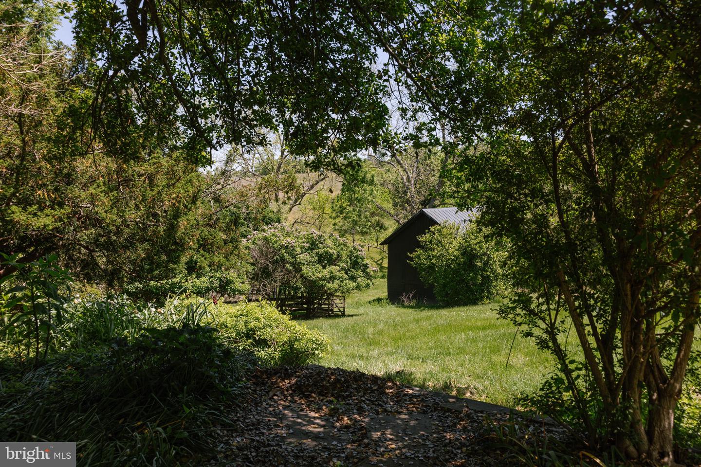 37961 Forest Mills Rd Property Photo 111