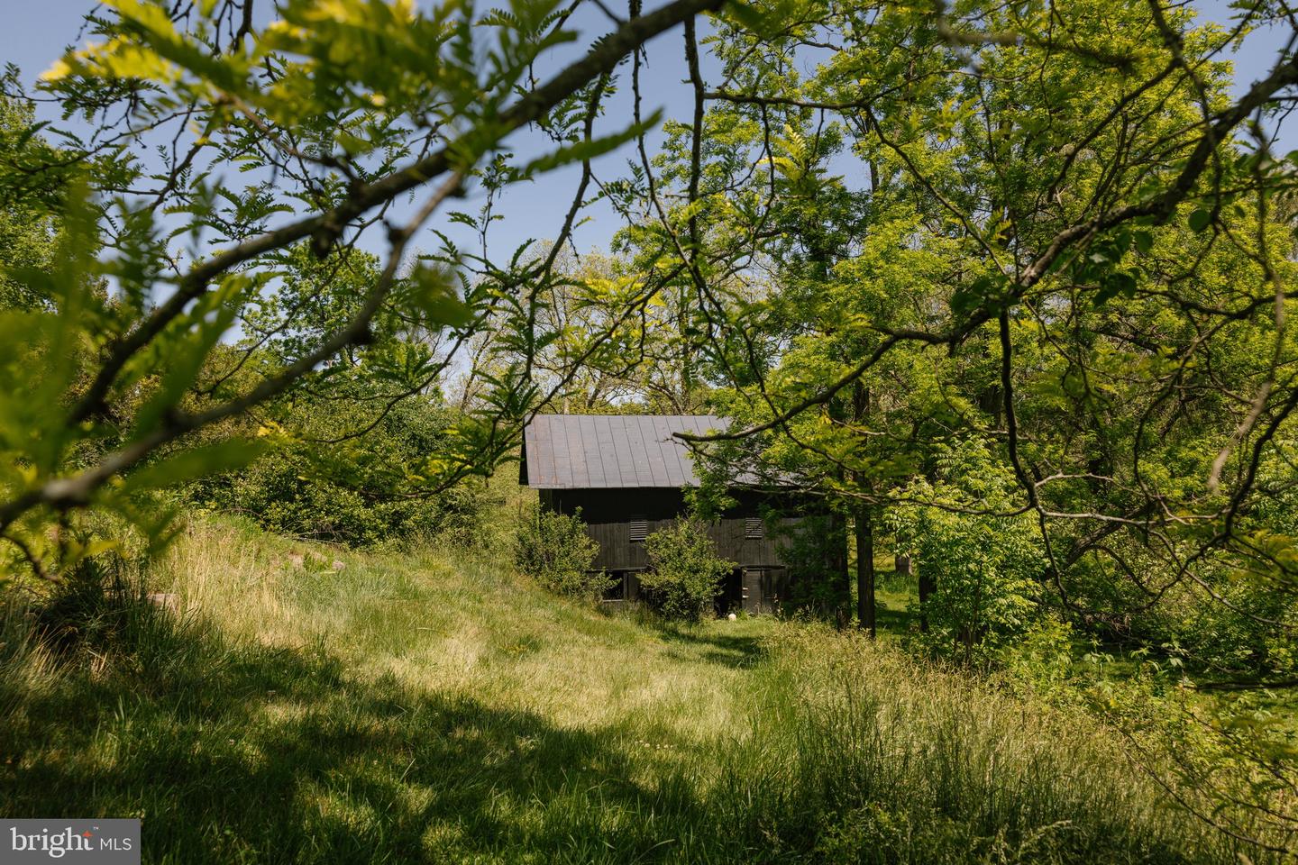 37961 Forest Mills Rd Property Photo 114